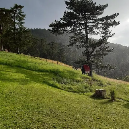 Vikendica Kod Gruja Ribnica (Cajetina)