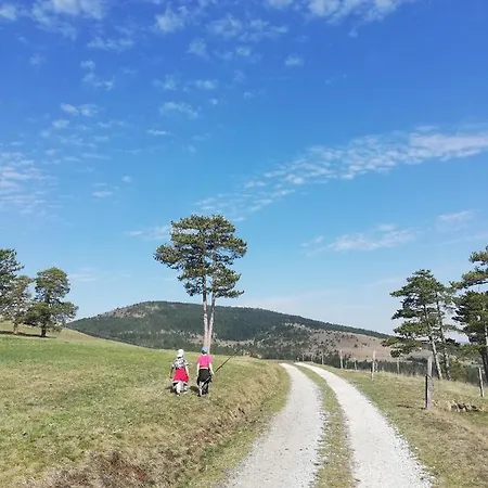 Kod Gruja Ribnica (Cajetina)