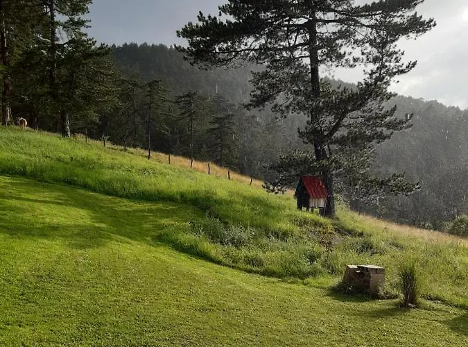 度假居 Kod Gruja Ribnica (Cajetina)