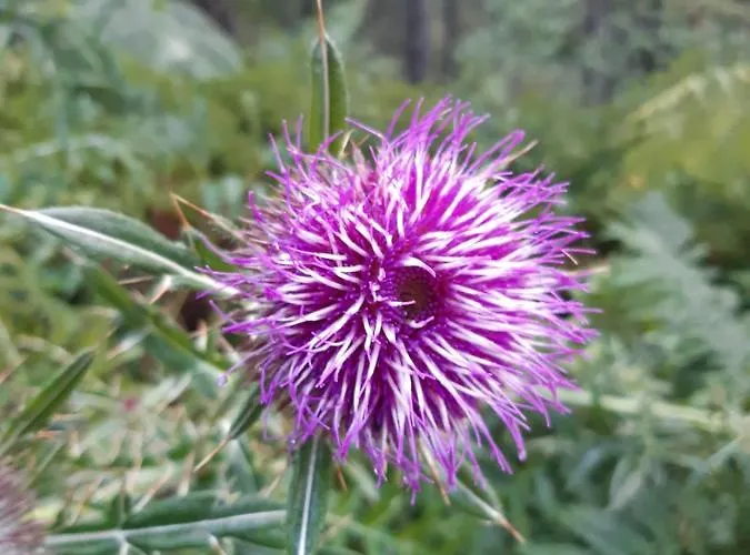 度假居 Kod Gruja *