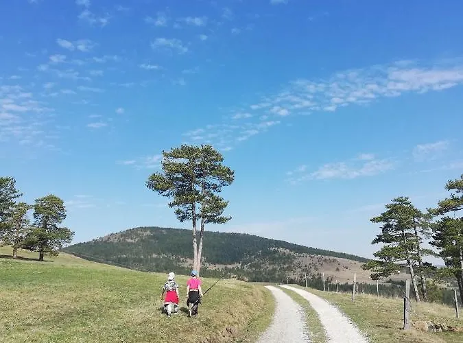 Kod Gruja Ribnica (Cajetina)