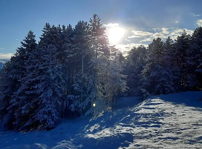 Kod Gruja 度假居 *