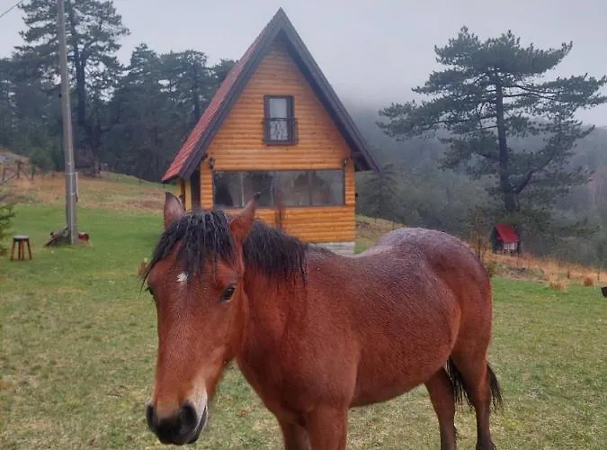 Kod Gruja Ribnica (Cajetina)